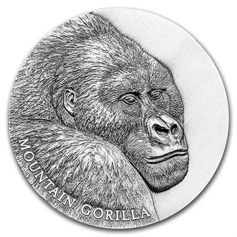 Buy 2021 Cameroon Silver Expressions of Wildlife: Mountain Gorilla | APMEX