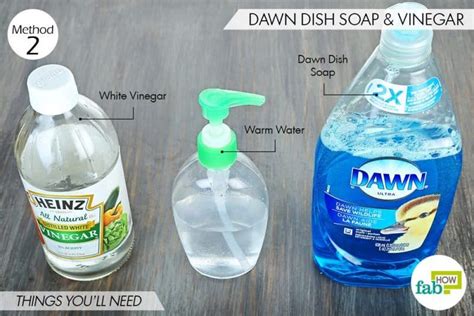 5 Ways to Kill Fleas on Dogs with Dawn Dish Soap | Kill fleas on dogs ...