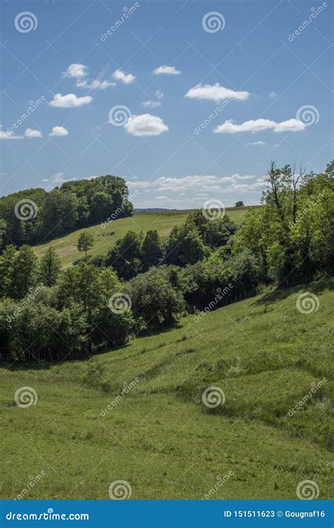 Scenery in the French Countryside Stock Image - Image of tree, forest ...