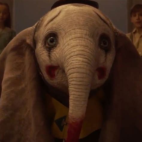 Cute Baby Dumbo