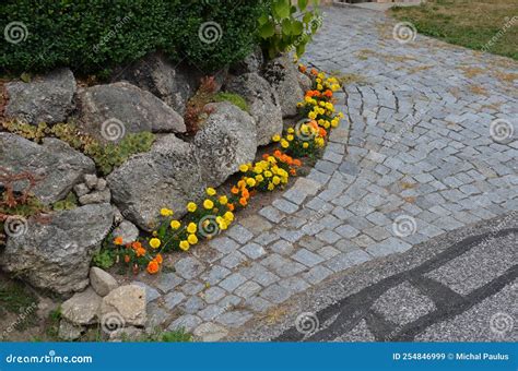 Perennial Flower Beds with Annual Flowers on the Edge of the Stock ...