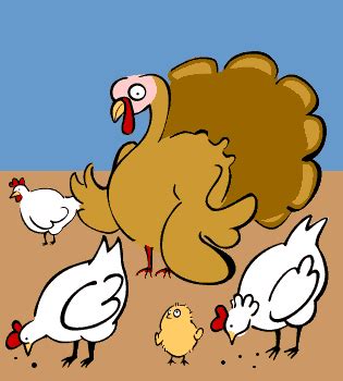 Turkey GIF - Find & Share on GIPHY | Happy turkey day, Giphy, Funny gif