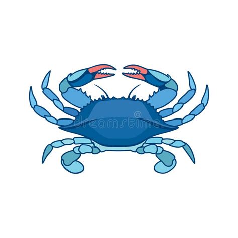 Blue Crab Stock Illustrations – 13,348 Blue Crab Stock Illustrations, Vectors & Clipart - Dreamstime