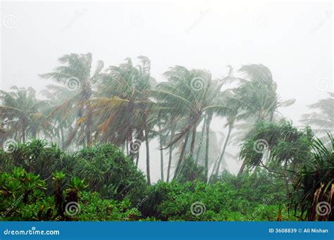 Storm in tropical island stock image. Image of maldives - 3608839