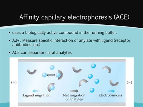 Capillary electrophoresis principles and applications | PPT