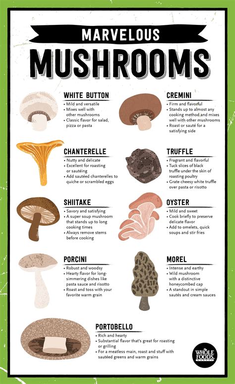 Different Mushrooms and How to Cook Them