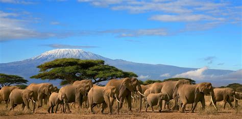 5-Day Tanzania Safari | Miyar Adventures