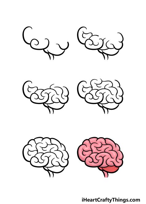 How to Draw a Brain Update 2022