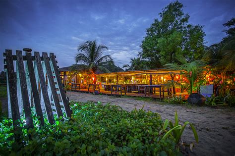 Tropical Paradise - Mermaid Beach Resort - SHOWCASE