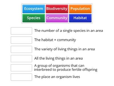 Mrs gren - Teaching resources