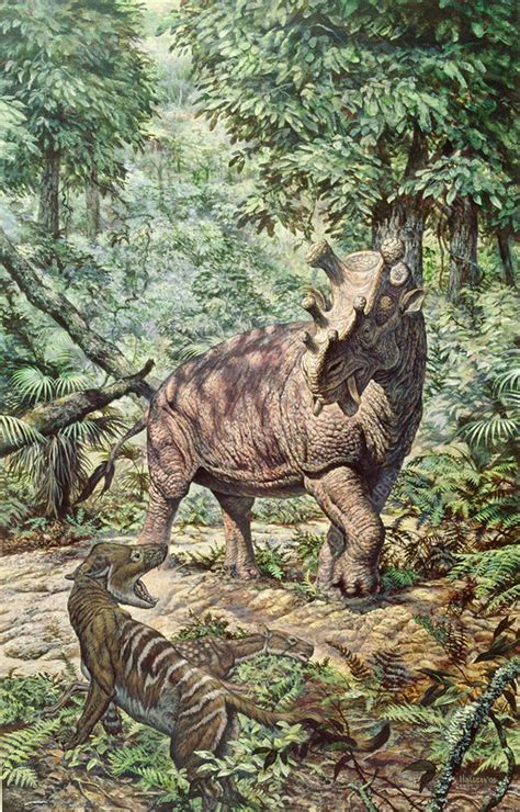 Eocene Mammals - Stock Image - C004/8033 - Science Photo Library