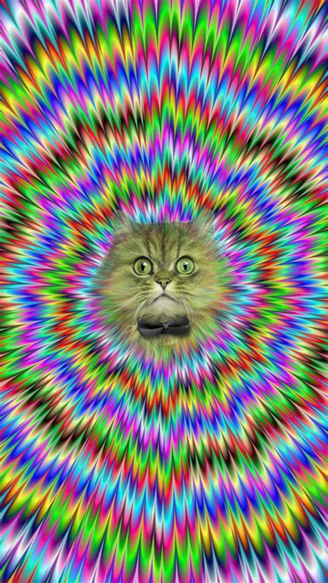 Trippy Cat Wallpaper - WallpaperSafari