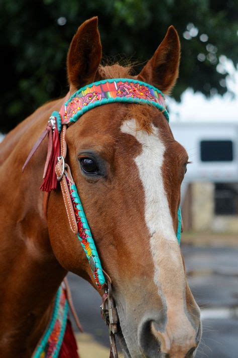 27 Barrel Racing Tack ideas | barrel racing tack, barrel racing, horse tack