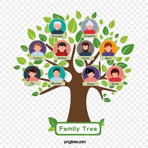 Family Tree PNG, Vector, PSD, and Clipart With Transparent Background ...