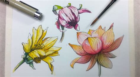 Pen And Ink Flower Drawing at GetDrawings | Free download