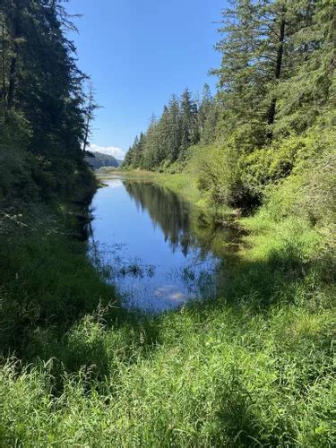 10 Best Hikes and Trails in Oregon Dunes National Recreation Area | AllTrails