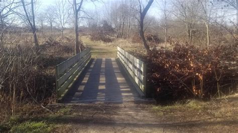 Lake of the Woods Forest Preserve, late Autumn hike. - YouTube