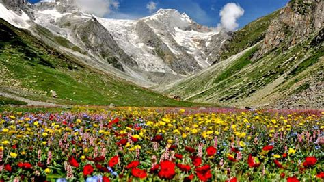 Exploring the Divine Hemkund Valley: Discovering the Enchanting Valley ...