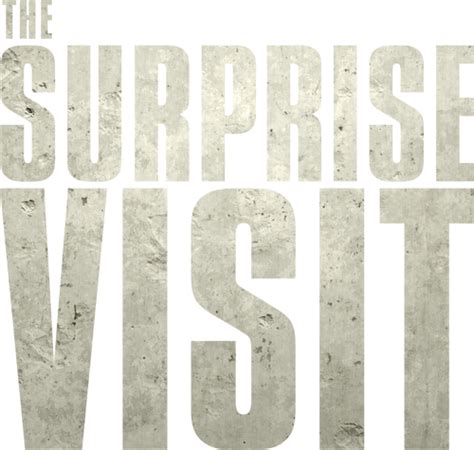 The Surprise Visit (2022) - Logos — The Movie Database (TMDB)