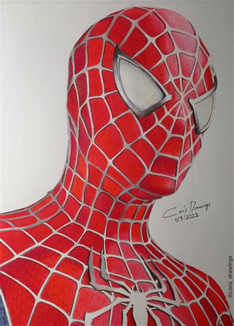 Spiderman Drawing Color