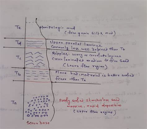 [Solved] 1)Diagram a typical Bouma sequence? 2) What causes the ...