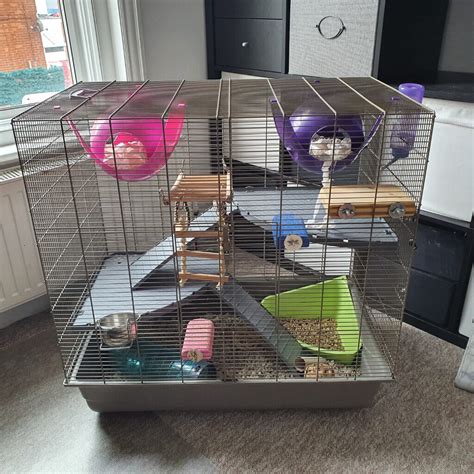 Rat cage with accessories | in Bournemouth, Dorset | Gumtree