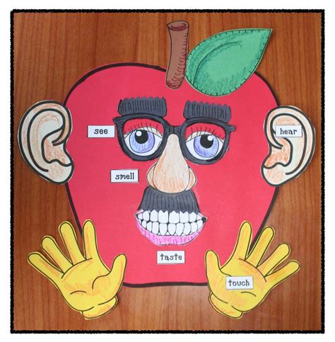 Studying the 5 Senses With Apples! | 5 senses craft, Senses activities, Apple activities