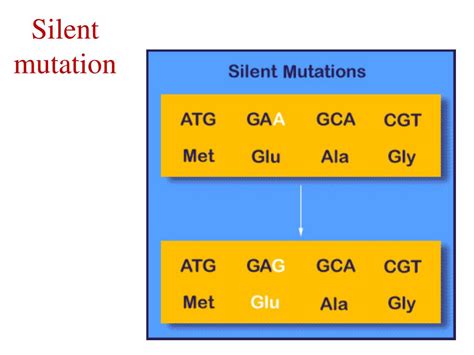 PPT - Mutations PowerPoint Presentation, free download - ID:1466319