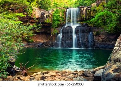 Tropical Rainforest Waterfalls Background