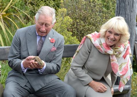 Prince Charles - bad hair day - Prince Charles' funniest moments ...