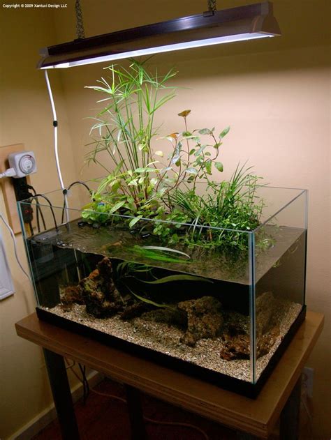 15 gallon riparium .. | Indoor water garden, Aquascape aquarium, Diy ...