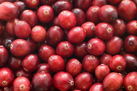 Do Cranberry Capsules Prevent or Eliminate Bacteriuria Plus Pyuria in Elderly Women? - Urinary ...