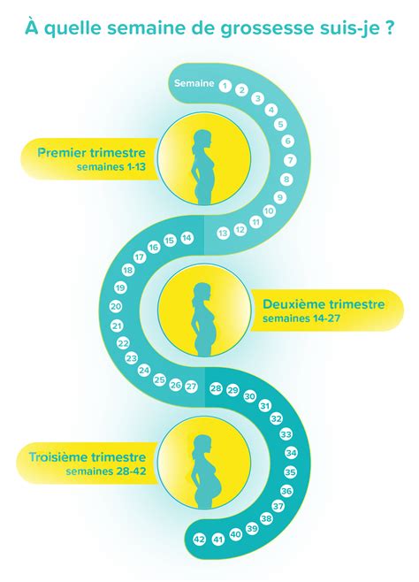 À quelle semaine de grossesse suis-je ? | Pampers