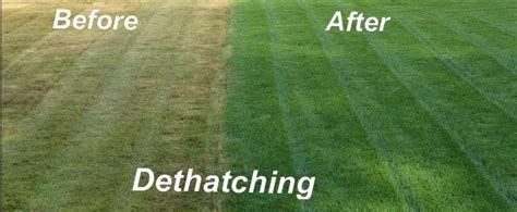 Lawn Dethatching - Nebraska Lawn Care Service | EcoScapes Lawn Care