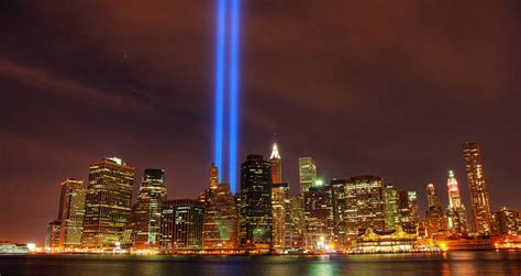 160,000 Birds Get Trapped In The 9/11 Memorial Lights Every Year