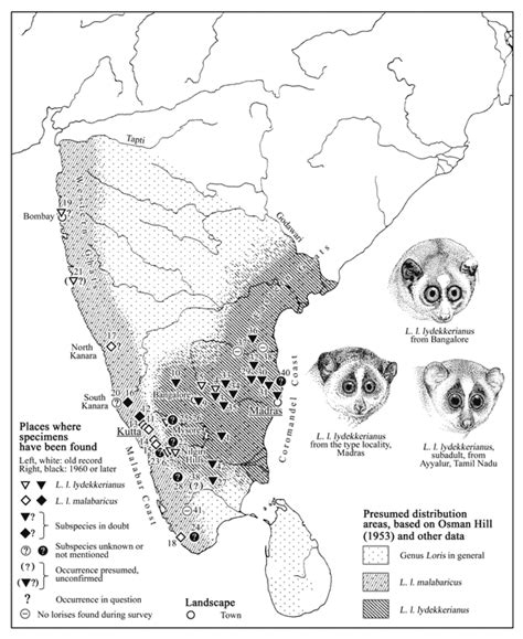 Slender loris distribution maps, locality information