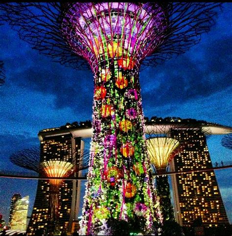 23 Singapore Botanical Garden Night Ideas You Cannot Miss | SharonSable