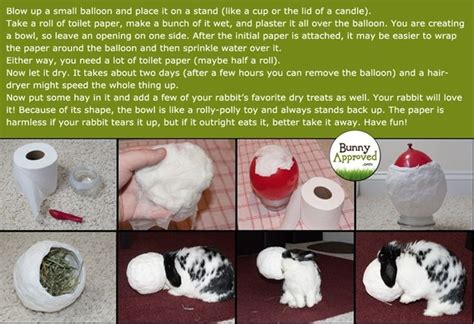 DIY Rabbit Toy Idea | Diy bunny toys, Rabbit toys, Homemade rabbit toys