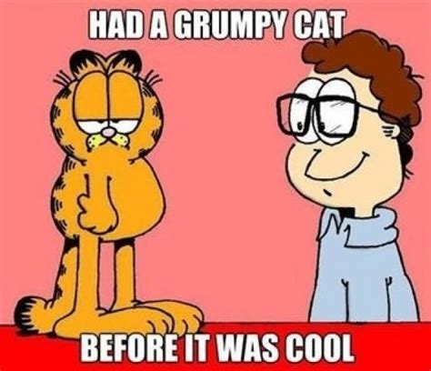 Garfield - Meme Guy