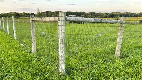 No Climb Fence Horse Safe And Maintenance Free Fence