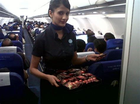 IndiGo Cabin Crew | Indian air hostess, Airline cabin crew, Cabin crew