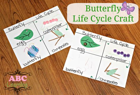 Butterfly Life Cycle Craft