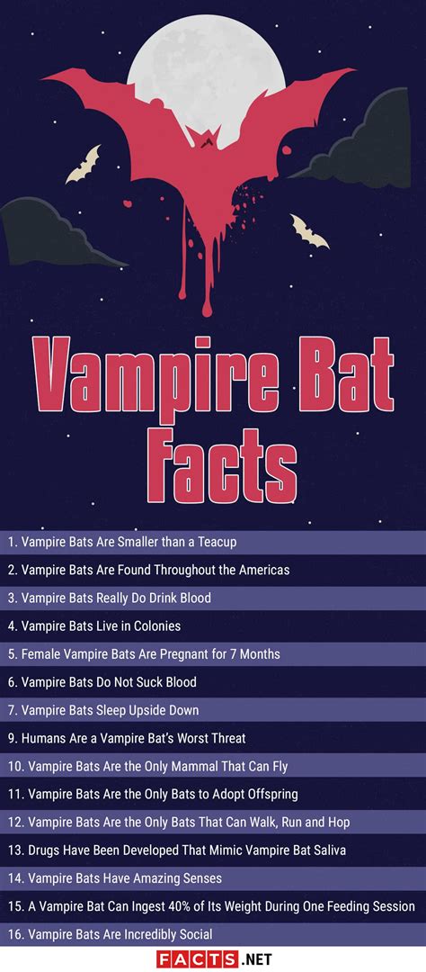 Top 15 Vampire Bat Facts - Size, Diet, Range & More | Facts.net