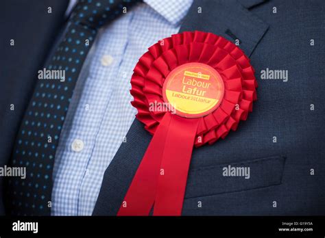 Red Welsh Labour rosette worn by a Welsh Labour party activist Stock ...