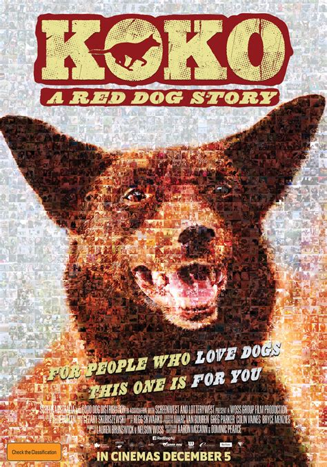 Download Movie Koko: A Red Dog Story Image