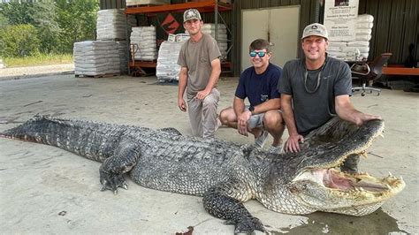 Mississippi hunters kill record-breaking alligator after all-night battle | US News | Sky News