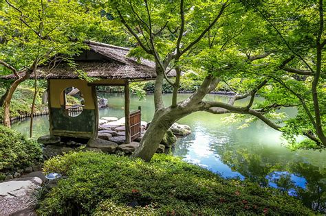 Japanese zen garden, japanese, nature, HD wallpaper | Peakpx