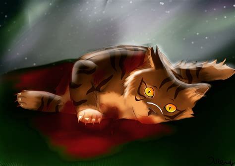 Tigerstar | Warrior cats, Art, Drawings