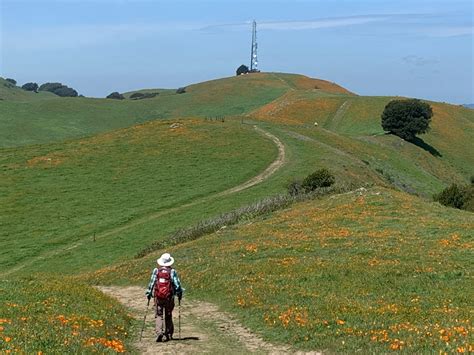 Rocky Ridge View and Elderberry Loop Trail [CLOSED] - California ...