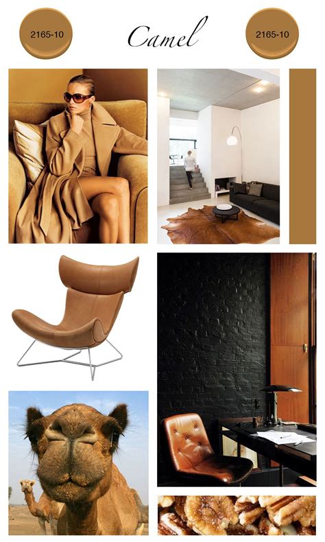 Warm Brown for Fall Home Decor